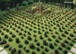 100 Ordre Turf