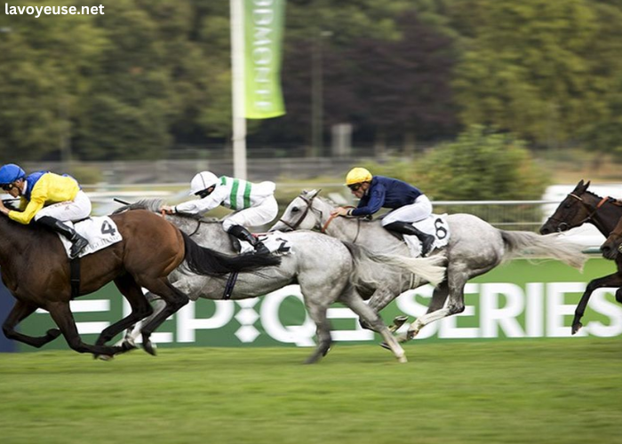 LA Filière Turf