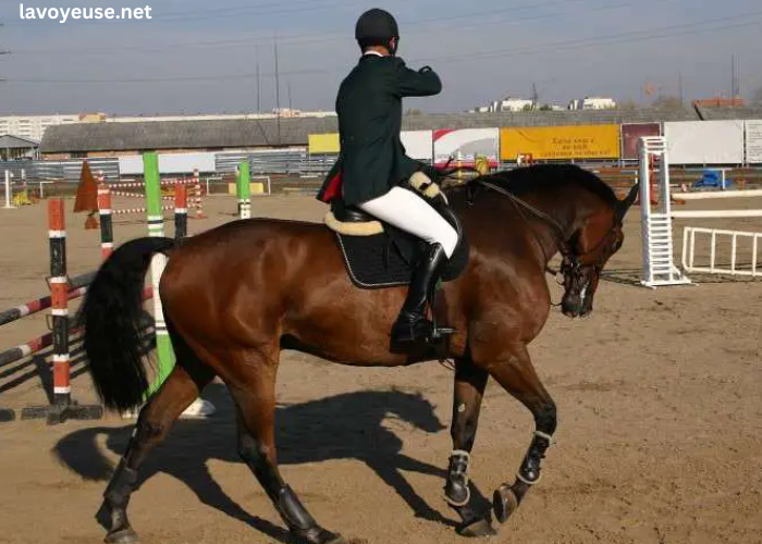 Elimination Des Chevaux