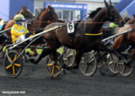 Le Cheval DE Base Incontournable