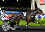 Cheval Coup Sur Du Jour