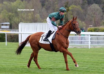 Formule Sur Turf