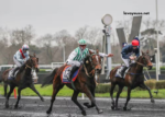 Power Turf Gagnant