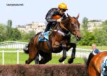 Lingodor Turf 2019