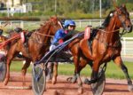 Pion Sur Pmu