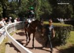 Somboturf Gagnant 1