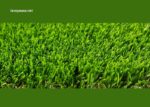 Turf D'or (100+)