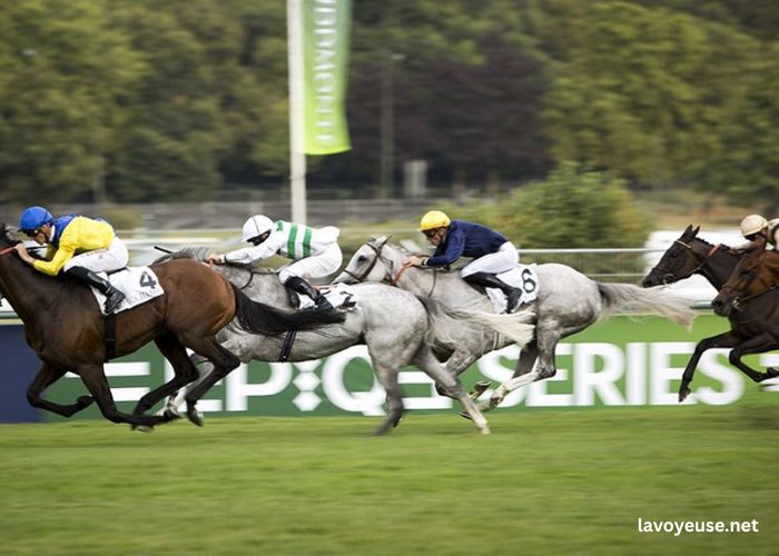 Zeturf Commentaires Live Zeturf Commentaires Live