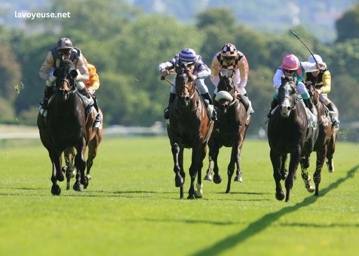 paris promise turf paris promise turf
