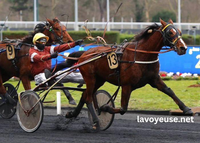 Canalturf Du Jour Canalturf Du Jour