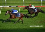Equidia Turf Pronostic (3)