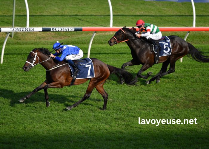 Equidia Turf Pronostic Equidia Turf Pronostic