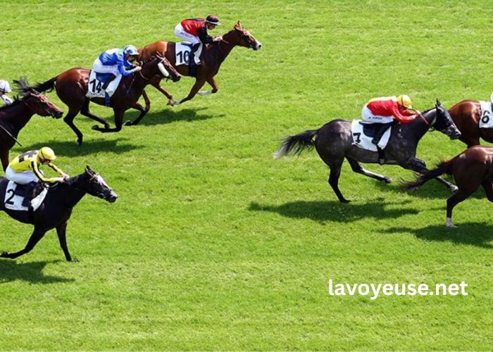 Force Turf Vip Force Turf Vip
