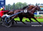 Geni Du Turf Vip