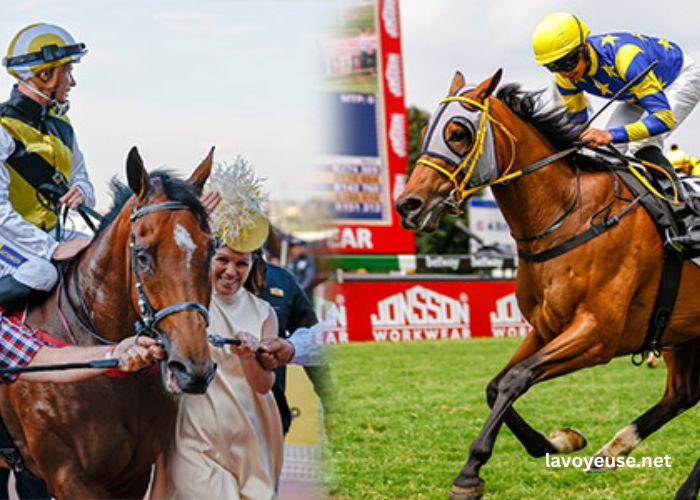 Good Hippique Turf Good Hippique Turf