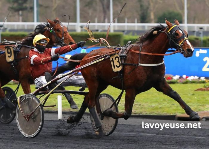 Passage Obligé 100 Gagnant Placé 3 Passage Obligé 100 Gagnant Placé 3