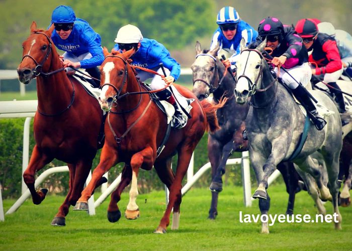 Passage Oblige 100 Gratuit