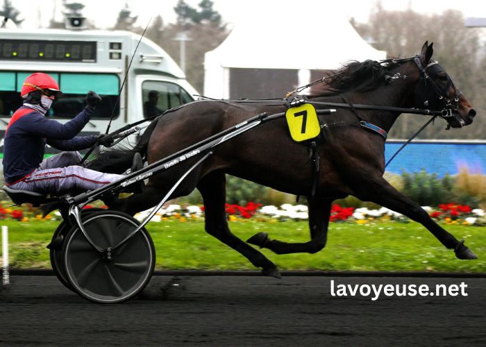 Pronostic DE Demain Pronostic DE Demain