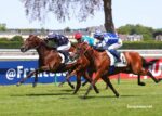 Societe Turf Trio