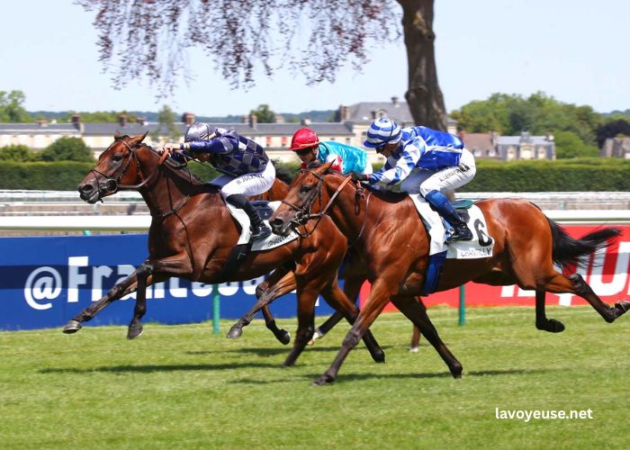 Societe Turf Trio Societe Turf Trio
