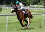 Super Gagnant Turf (3)