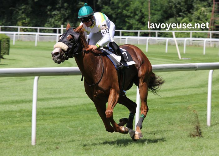 Super Gagnant Turf Super Gagnant Turf