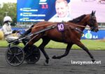 Turf Magique 3 Bases (1)