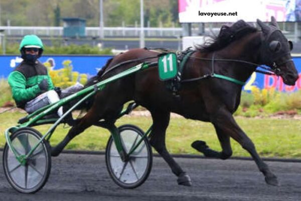 Don Du Ciel Turf