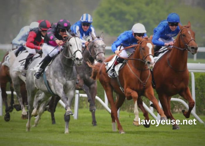Expert Du Turf Pronostic Gratuit Expert Du Turf Pronostic Gratuit