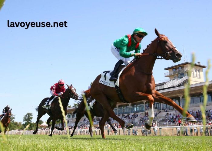 Legende Hippique Turf Legende Hippique Turf