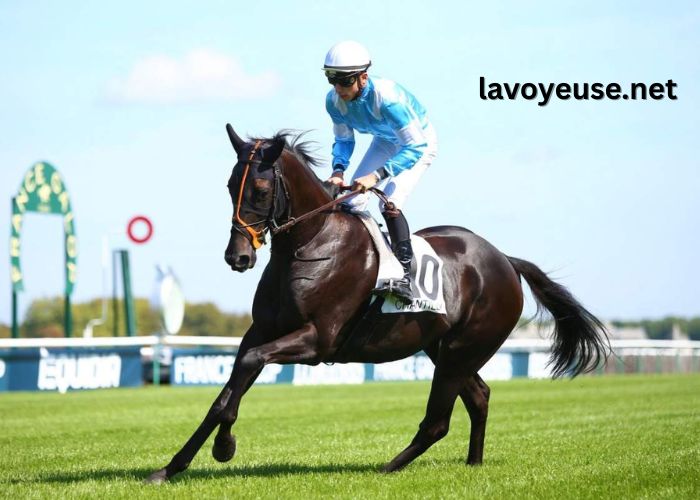 Maxi Prono Vérité Maxi Prono Vérité
