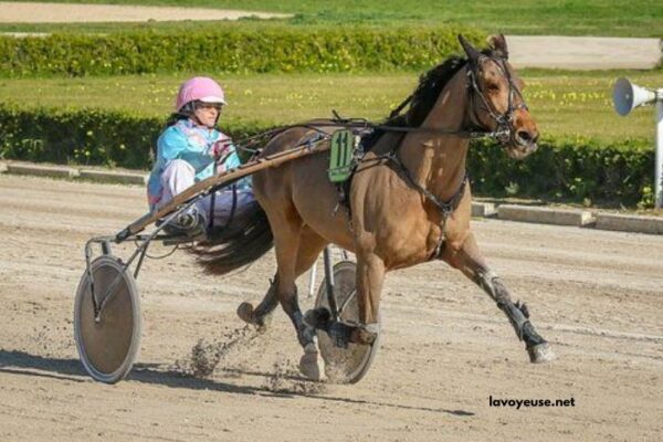 Prono Logique Turf