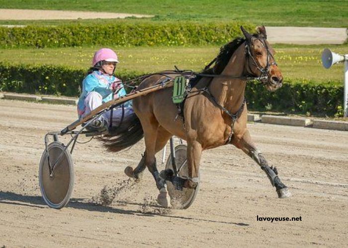 Prono Logique Turf