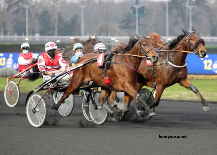 Trio Ordre 4