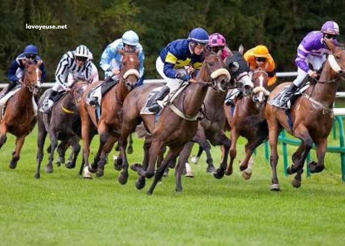 Club Hippique Gagnant