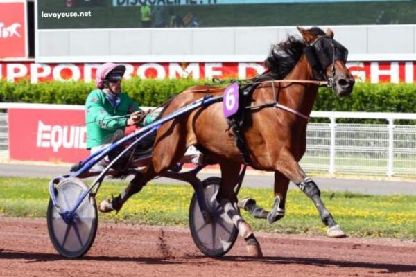 Derniere Minute Turf