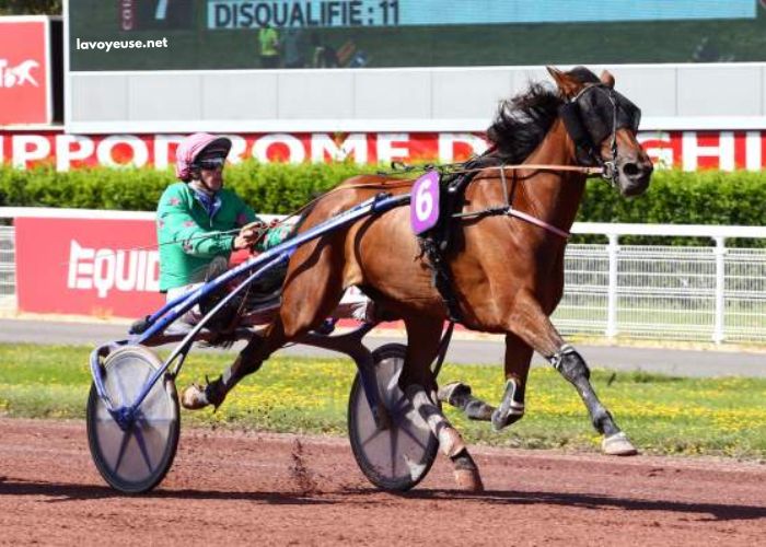 Derniere Minute Turf