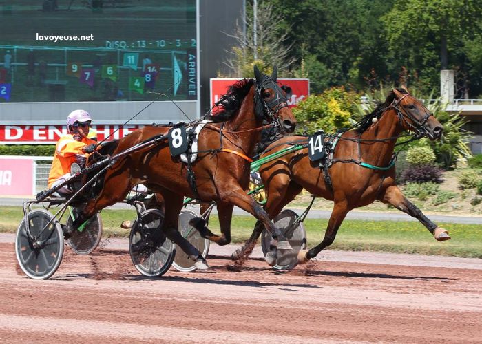 LA Cle Turf Présidentielle (2)